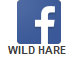 wild_hare_web004002.jpg